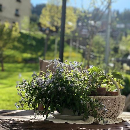 Dolomites Charme Chalet Colle Santa Lucia Bagian luar foto